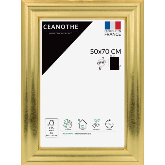 Cadre photo Julia doré 50x70cm - CEANOTHE