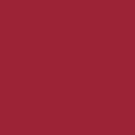 Peinture multisupport velours rouge odéon 0,5L - LIBERON