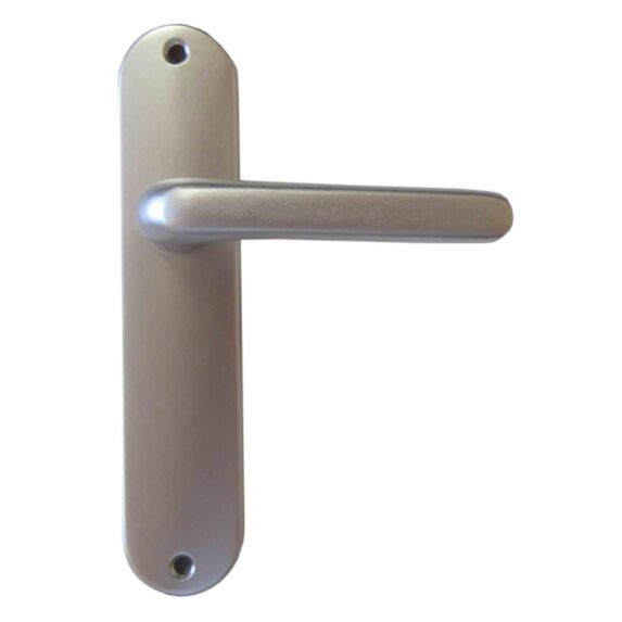 Poignée de porte bec de cane Chamonix alu argent entraxe 165mm - 1ER