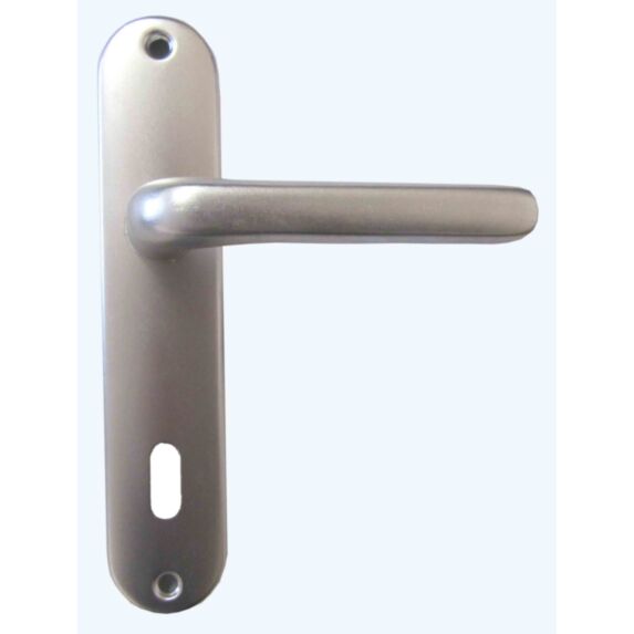 Poignée de porte trou clé Chamonix alu argent entraxe 165mm - 1ER