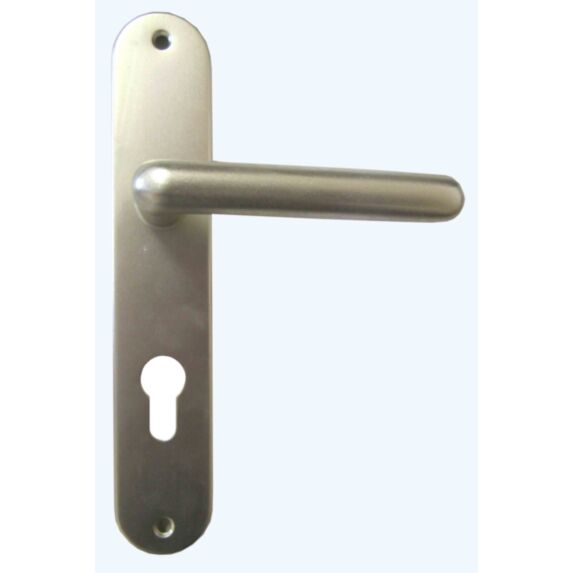 Poignée de porte à cylindre Thonon alu champagne entraxe 195mm - 1ER