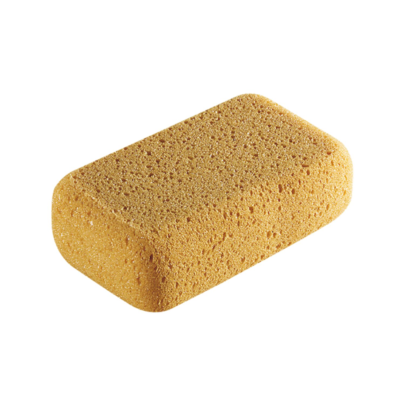 Eponge petit modèle