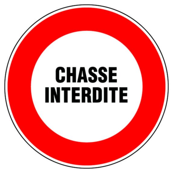 Disque diamètre 300 mm 