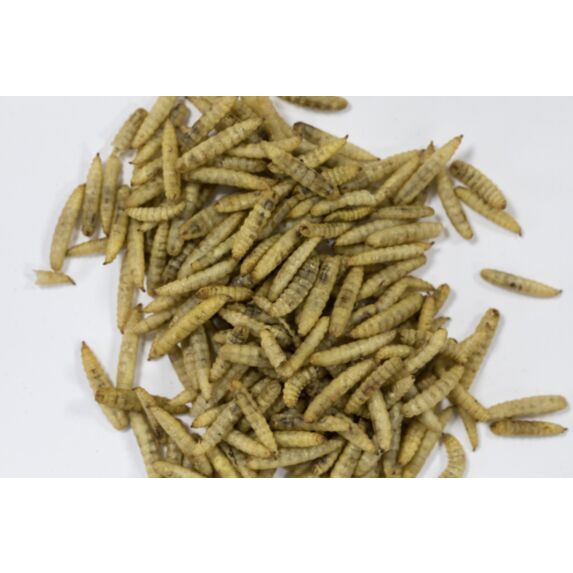 Insectes séchés 250g naturel - ZOLUX