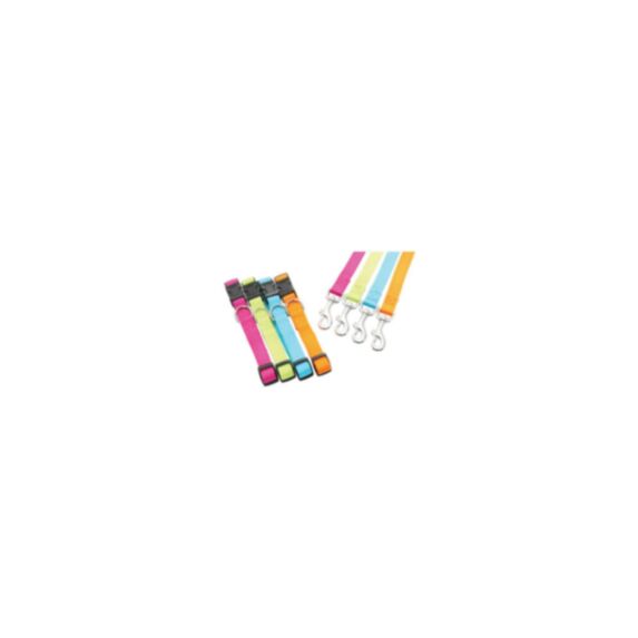 Laisse nylon 1 m x 20 mm turquoise - ZOLUX