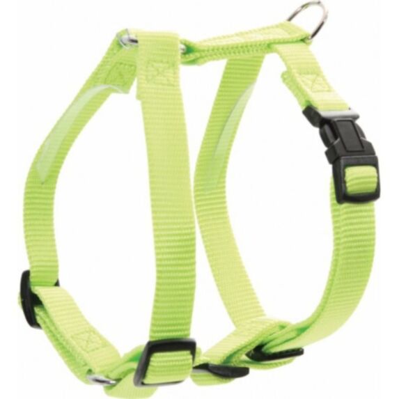 Harnais nylon réglable 25 mm anis - ZOLUX
