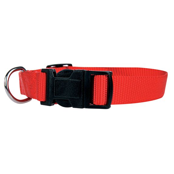 COLLIER ROUGE NYLON 30/40CM