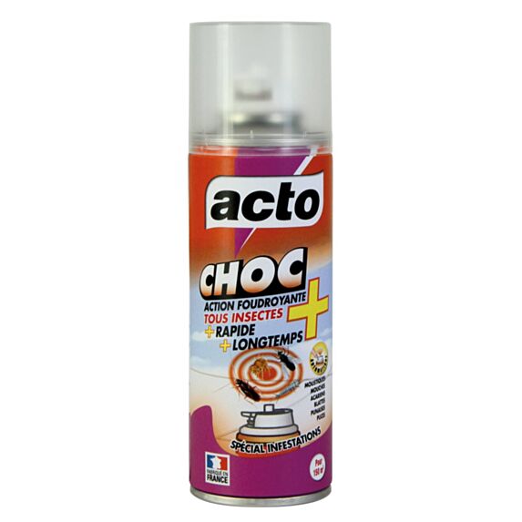 Insecticide polyvalent Choc Action Foudroyante 100ml - ACTO 