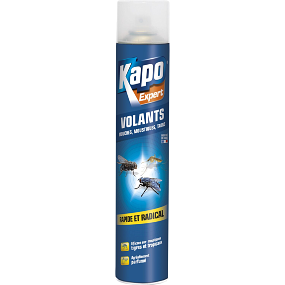 Aérosol insectes volants 750ml - K.PRO