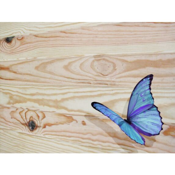 Lambris pin des landes naturel - 1ER