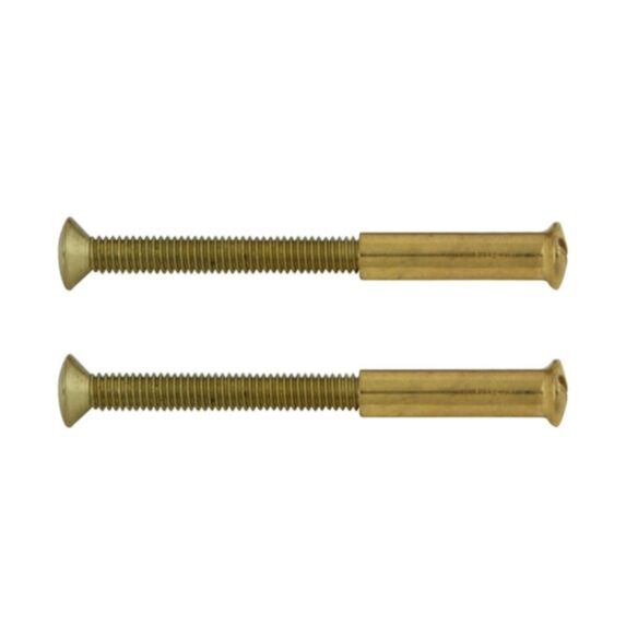 2 Vis relieuses laiton