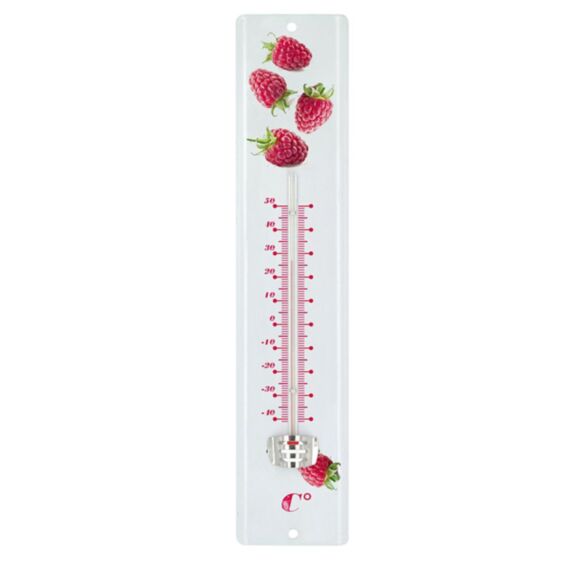 Thermomètre décor framboise 30cm - BLACKFOX