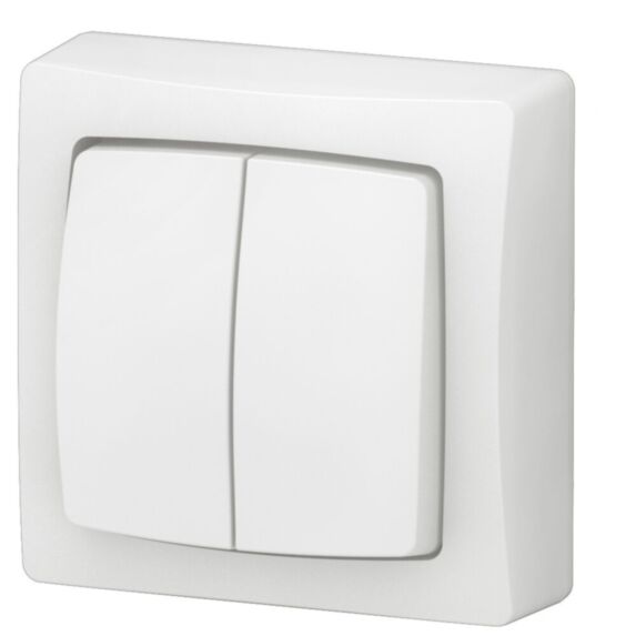 Interrupteur, va-et-vient ou poussoir double touche Appareillage Saillie complet blanc - LEGRAND