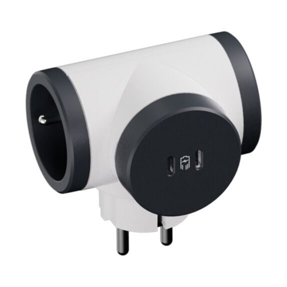 Fiche multiprise 2x2P+T 16A 230V 3680W latérales 2 USB C noir/blanc - LEGRAND