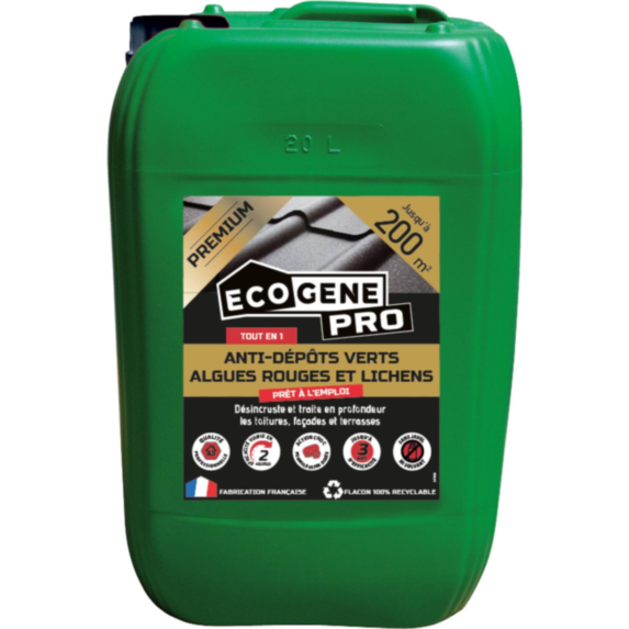 anti dépôts verts algues et lichens pae premium 20L