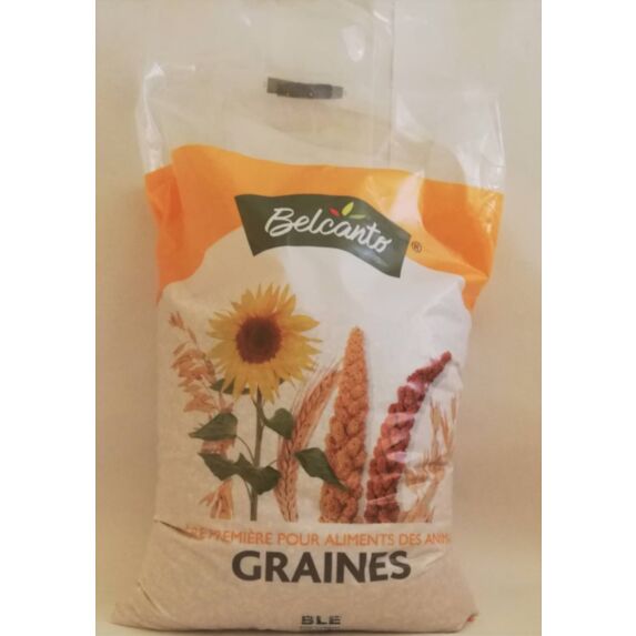 Blé 5kg - BELCANTO