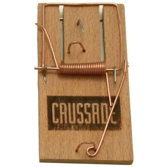Tapette souris bois FSC vrac - CAUSSADE