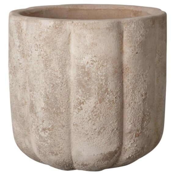 Cuvier Pumpkin 35cm beige - DEROMA