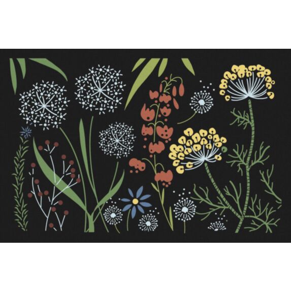 Tapis d'entrée Access Champetre 60x40cm