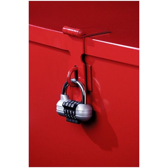 Cadenas Pro sport 59mm - anse acier - MASTER LOCK