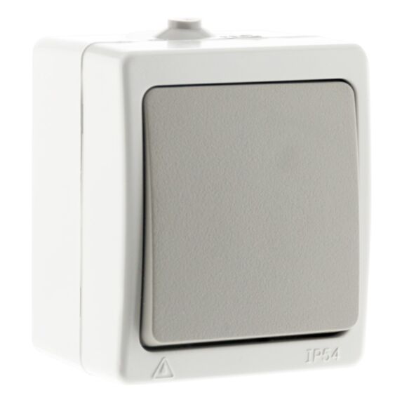 Va & Vient simple Gris Clair IP54 