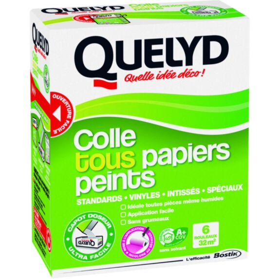 Colle papier peint tous papiers peints 300 g - QUELYD