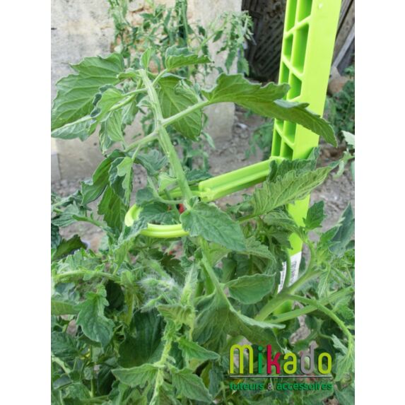 Sachet de 6 attaches pour tuteur Vert Anis