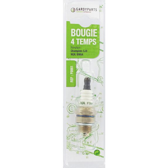 Bougie d'allumage 4 temps F9861