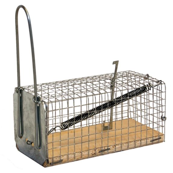 Nasse souris socle bois