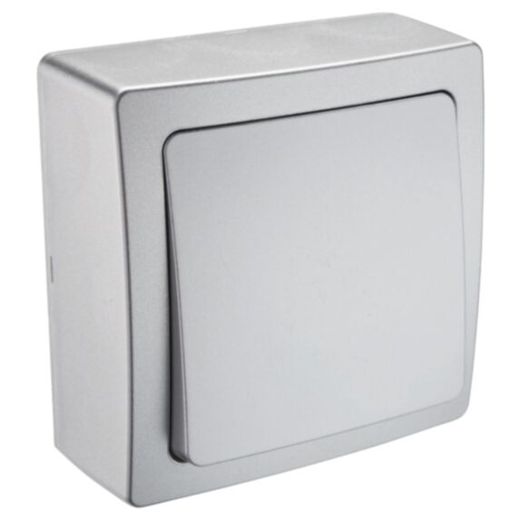 Interrupteur Renov'Line Va Et Vient en Saillie Argent - INVENTIV'