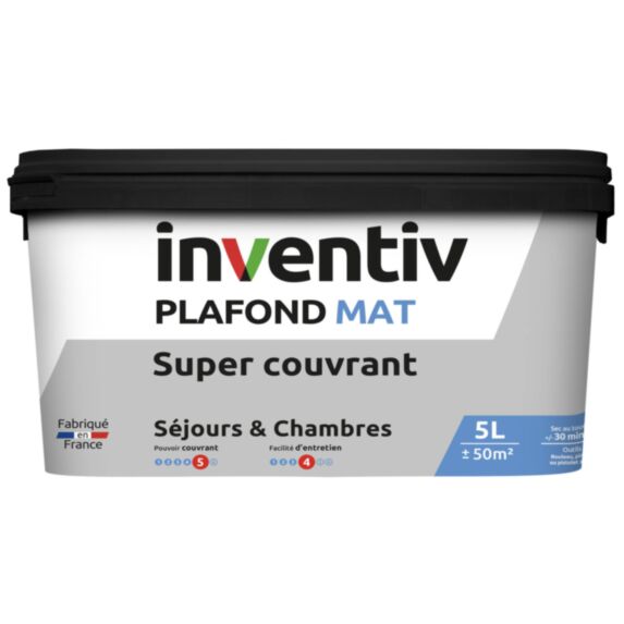Peinture plafond super couvrant mat Plafond & séjour 5L - INVENTIV