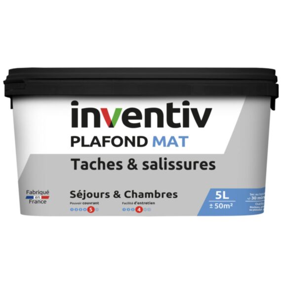 Peinture plafond tâches et salissures mat Plafond & séjour 5L - INVENTIV