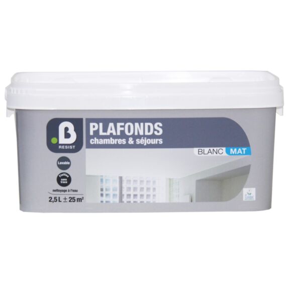 Peinture Plafonds Chambres & Séjours  Blanc mat  5L - B RESIST