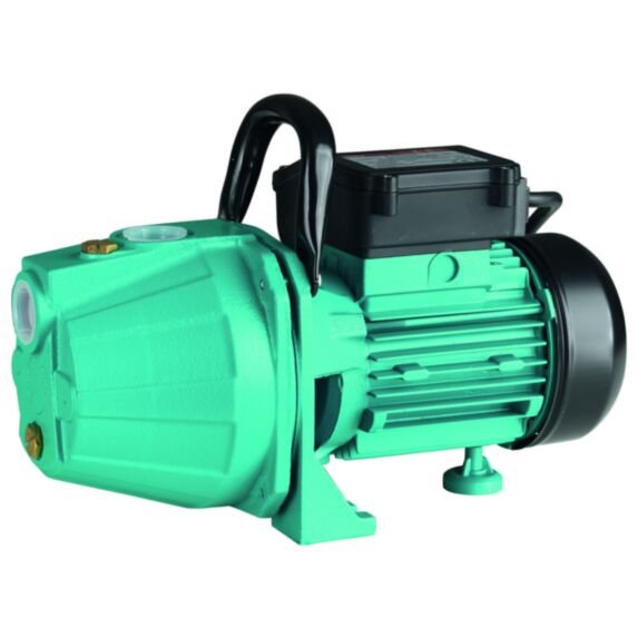 Pompe d'arrosage PS800 - 1ER