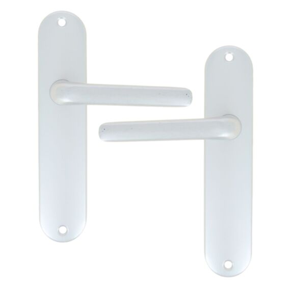 Poignée de porte sur plaque bdc Chamonix aluminium argent entraxe 165mm - 1ER