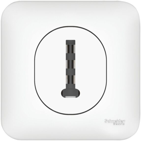 Prise téléphone en T ovalis complet - SCHNEIDER ELECTRIC