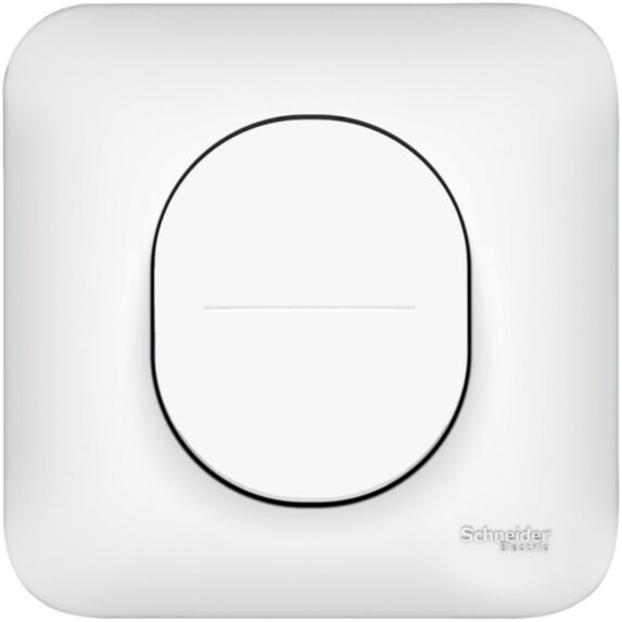 Interrupteur ou Va-et-vient 10 ampères Ovalis complet 230 V - SCHNEIDER ELECTRIC