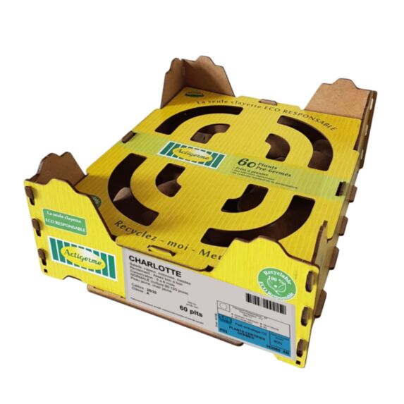 Semence de pomme de terre Charlotte 25/32 CLY 60P - ACTIGERME