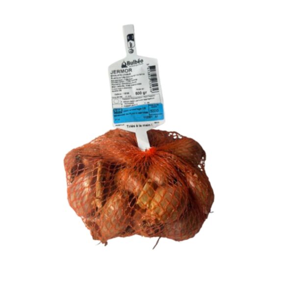 Bulbes potager échalote Jermor calibre 15/35 500g - BULBEO