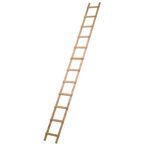 Echelle de toit bois 3m - ARTUB