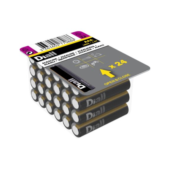 Pile alcaline AAA (LR03) non rechargeable x24 - DIALL