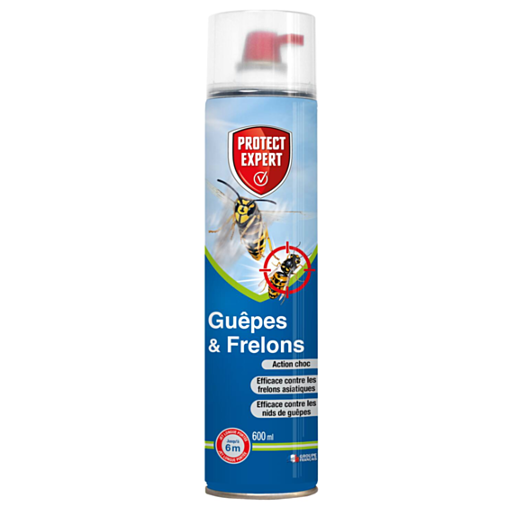 Insecticide Guêpes et frelons jet longue portée 600ml - PROTECT EXPERT