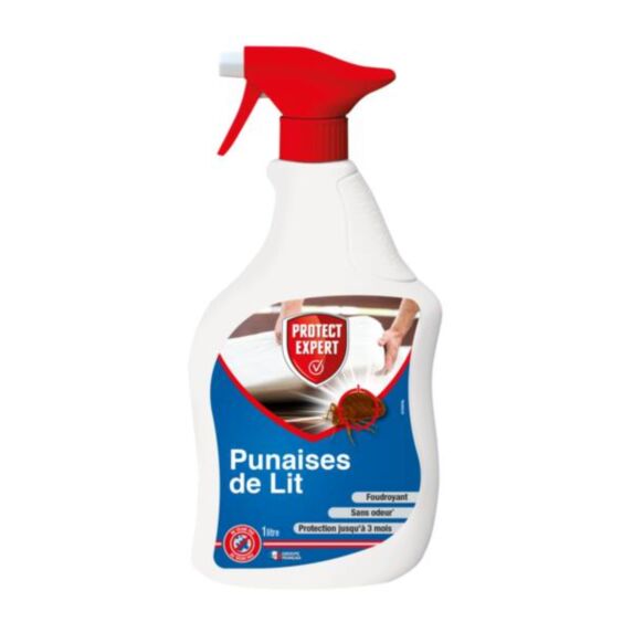 Foudroyant punaises de lits - PROTECT EXPERT