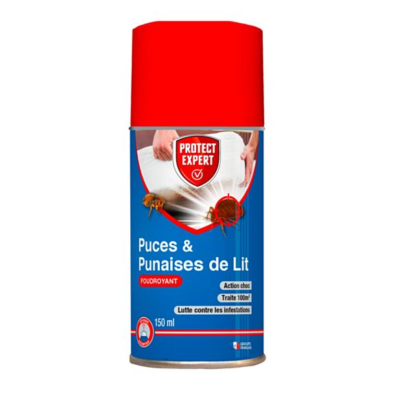 Aérosol foudroyant anti-puces et punaises de lit - PROTECT EXPERT