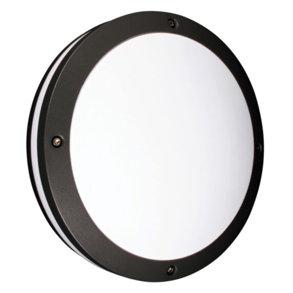 Hublot ovale Aludra blanc IP54 LED 12W + détecteur couleurs réglables L.120x210mm