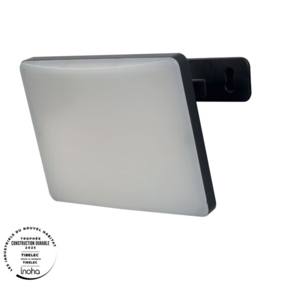 Projecteur LED 30W full screen noir IP65 - TIBELEC
