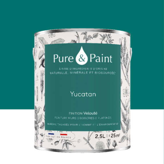 Peinture Multi-Supports Velours Yucatan 2,5L - PURE & PAINT