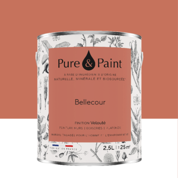 Peinture Multi-Supports Velours Bellecour 2,5L - PURE & PAINT