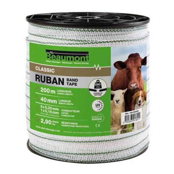 Ruban blanc et vert 40mm/200m Classic - BEAUMONT