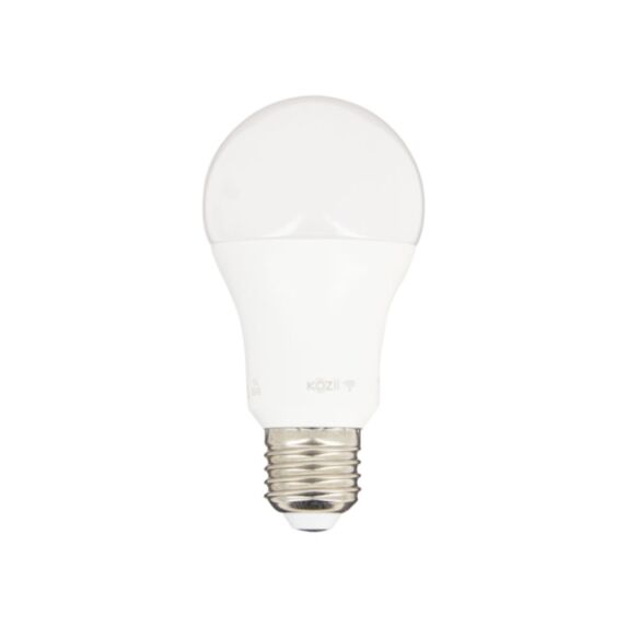 2 ampoules led connectées A60 E27 806lm 9W variable - KOZII